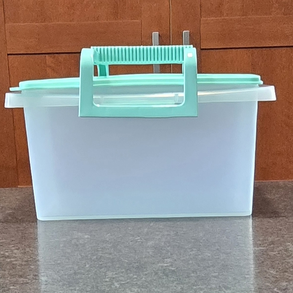Tupperware Small Carryall